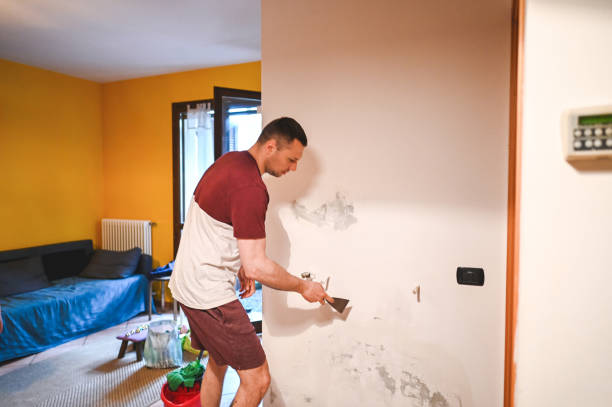 Best Fast Mold Removal  in Lexington, OH